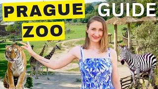 PRAGUE ZOO - Should you visit? A Complete Guide