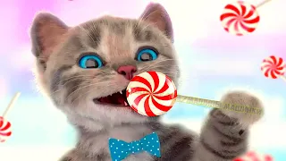 ADVENTURE OF A LITTLE KITTEN cartoon about kittens cartoon for kids and toddlers cartoons on #922