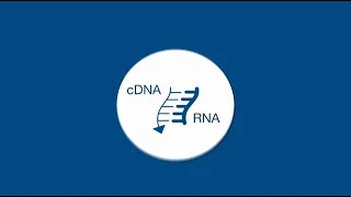 How to achieve faster, simpler, more efficient cDNA synthesis