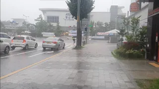 Ultra Rainstorm Walk Makes You Forget Everything. Nature Sound for Sleep Study Work. Ambient Video.