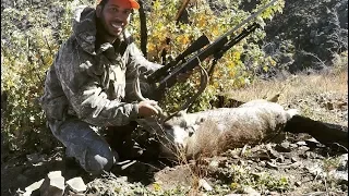 Public Land California D8 Solo Mule Deer Hunt #muledeer #hunting #deerhunting #d8 #d9 #x10