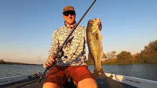 Punching the California Delta. This is how you catch big bass with the Punch.
