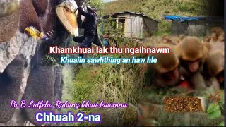 A thlai suasamtu zawngho chu hmarcha hmangin a tihrehawm ve ||  Rabung khaw pa Pu B Lalfela kawmna-2