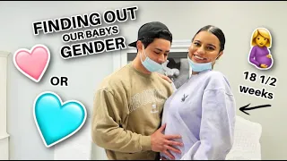 FINDING OUT OUR BABY'S GENDER !