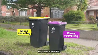 The new 4-bin waste service: your purple glass recycling bin