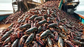 American Fishermen Catch Billions Of Lobster And King Crabs This Way - Seafood Processing Factory
