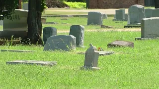 Residents concerned about Rosemont Cemetery maintenance