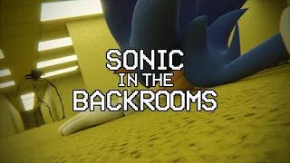 Sonic in the Backrooms