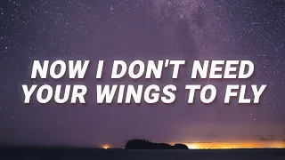 Cash Cash -  Now i don't need your wings to fly (Hero) (Lyrics) feat. Christina Perri