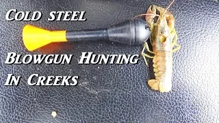 HUNTING with COLD STEEL BLOWGUN