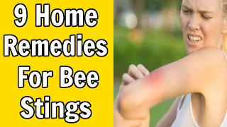 9 Home Remedies For Bee Stings