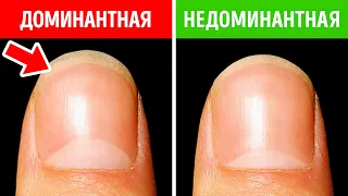 90+ потрясающих фактов, которые были обнаружены совсем недавно