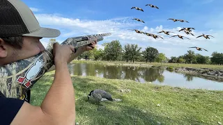 INSANE Goose Hunting a LOADED Cattle Pond! (How To Make Goose Jerky)