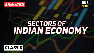 Sectors of Indian Economy class 10 full chapter (Animation) | Class 10 Economics Chapter 2 CBSE ep01