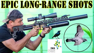 EPIC LONG-RANGE SHOTS and a trip to Germany | FX Impact M3 800mm | IWA | Airgun Pest Control
