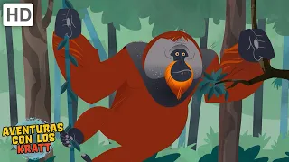 Primates | Orangutanes, monos, tarsiers + más! [episodios completos] Aventuras con los Kratt