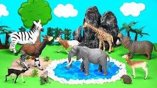 Safari Zoo Diorama and Herbivorous Animals - Learn Animal Names