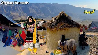 Daily life of Afghan nomads | Laghman | کوچیان