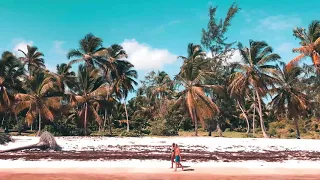 Punta Cana, Dominican Republic Cinematic Short Film | IPhone XS Max & Zhiyun Smooth 4