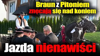 Grzegorz Braun z Sebastianem Pitoniem znęcają się nad koniem!
