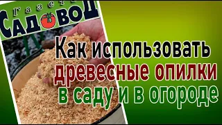 Как использовать древесные опилки в саду и в огороде