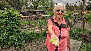 Esta ABUELA vive en su casa del 1800 donde NADIE la HALLARÍA fácil, SIEMBRA su COMIDA y es muy FELÍZ