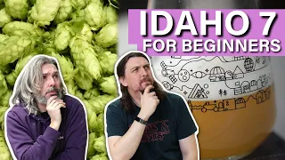 What is the Idaho 7 hop and what does it do?