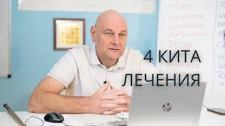 4 кита лечения Дмитрий Кулага