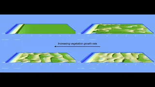 simulation of coastal dune fields