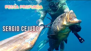 Mero en pecio profundo por Sergio Cejudo