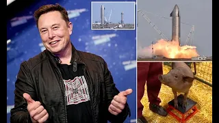 Elon Musk claims he has 'monkey with a brain implant who plays games'