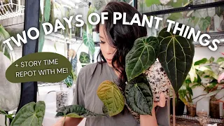 Garden centre visit, prepping my plants for vacation, and story time repot!
