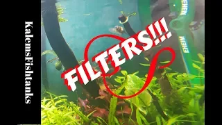 How to Choose a Filter for a Planted Tank/Beginners guide to Planted Aquariums Ep 6