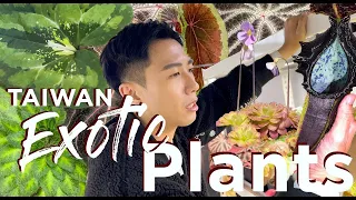 TOP SECRET Private Taiwan Plant Garage - Rare And Exotic Plants | Gesneriads | Begonias | Endemic