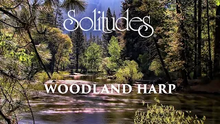 Dan Gibson’s Solitudes - Flowing Hope | Woodland Harp
