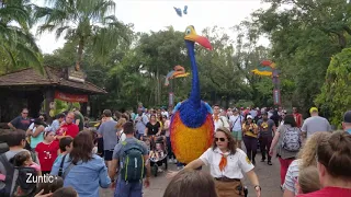 Kevin the bird from Pixar's Up at Animal Kingdom