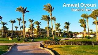 Обзор отеля Amwaj Oyoun и выводы по отдыху в Шарм-эль-Шейхе (Египет)