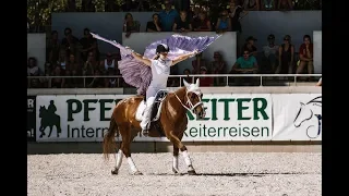 Das Finale in Aachen - Mustang Makeover 2018 - Prüfungen mit Equiteam's Whisper aka Sissi