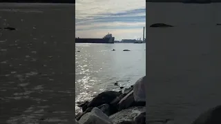 We caught the roger blough again at port huron