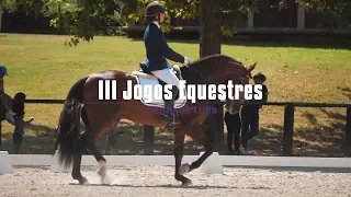 III Jogos Equestres de Ponte de Lima