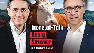 "Landwirte dürfen hier nicht zum Handkuss kommen" | krone.at News-Talk