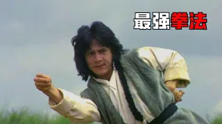《蛇鹤八步》小夥獲得最强拳譜，學成後單挑全江湖高手，最後成武林盟主！