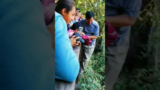 Man jumps over visitor's fence near tigers at Oakland Zoo