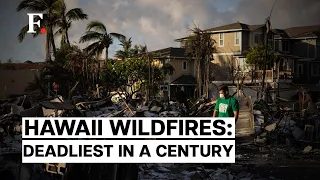 Hawaii Wildfires Become Deadliest in US in 100 Years as Death Toll Reaches 89