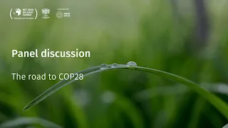 Panel discussion: the road to COP28
