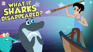 What If Sharks Disappeared? | Extinction Of Sharks | The Dr Binocs Show | Peekaboo Kidz