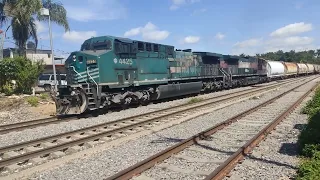 El tren "La Bestia" pasando por Fortín de las Flores, Veracruz el 31 de octubre de 2021.