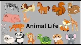 Improve your English | LEARN THROUGH ANIMATION |Easy kids learning | Name of animals |