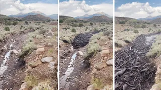 Flash Flood in Moab Desert