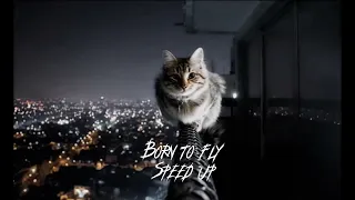 Born to fly - SPEED UP